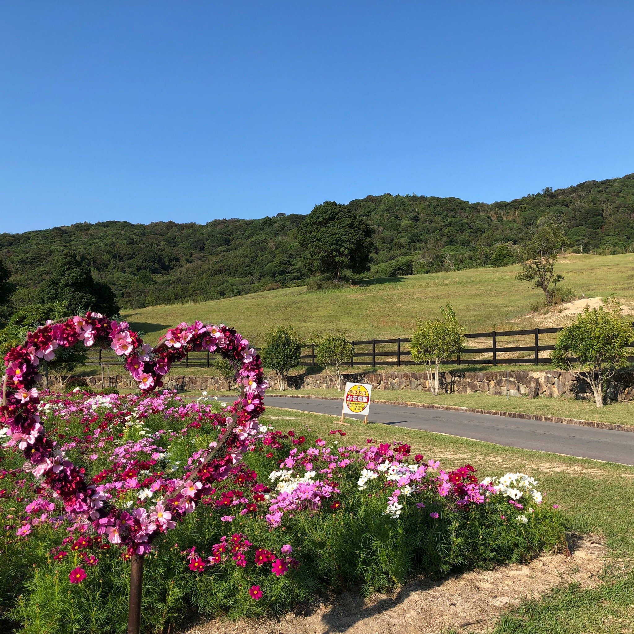 兵庫 淡路ファームパーク イングランドの丘 入場Eチケット 予約