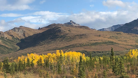 Black Diamond Resort Co and Golf Course