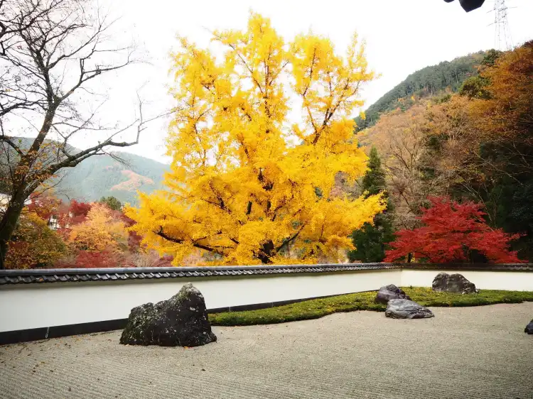 Hotel dekat Gyokudo Art Museum
