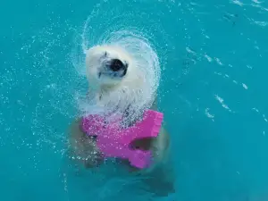 KUSHIRO ZOO