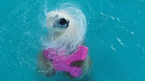 구시로 시립 동물원