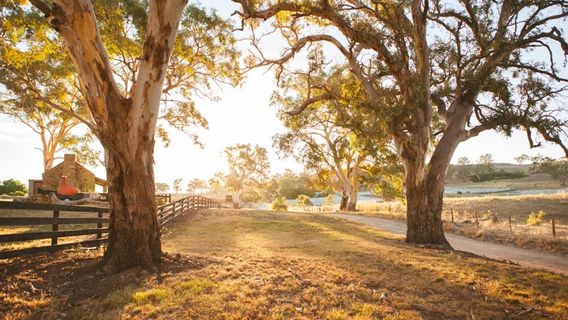 Mannum
