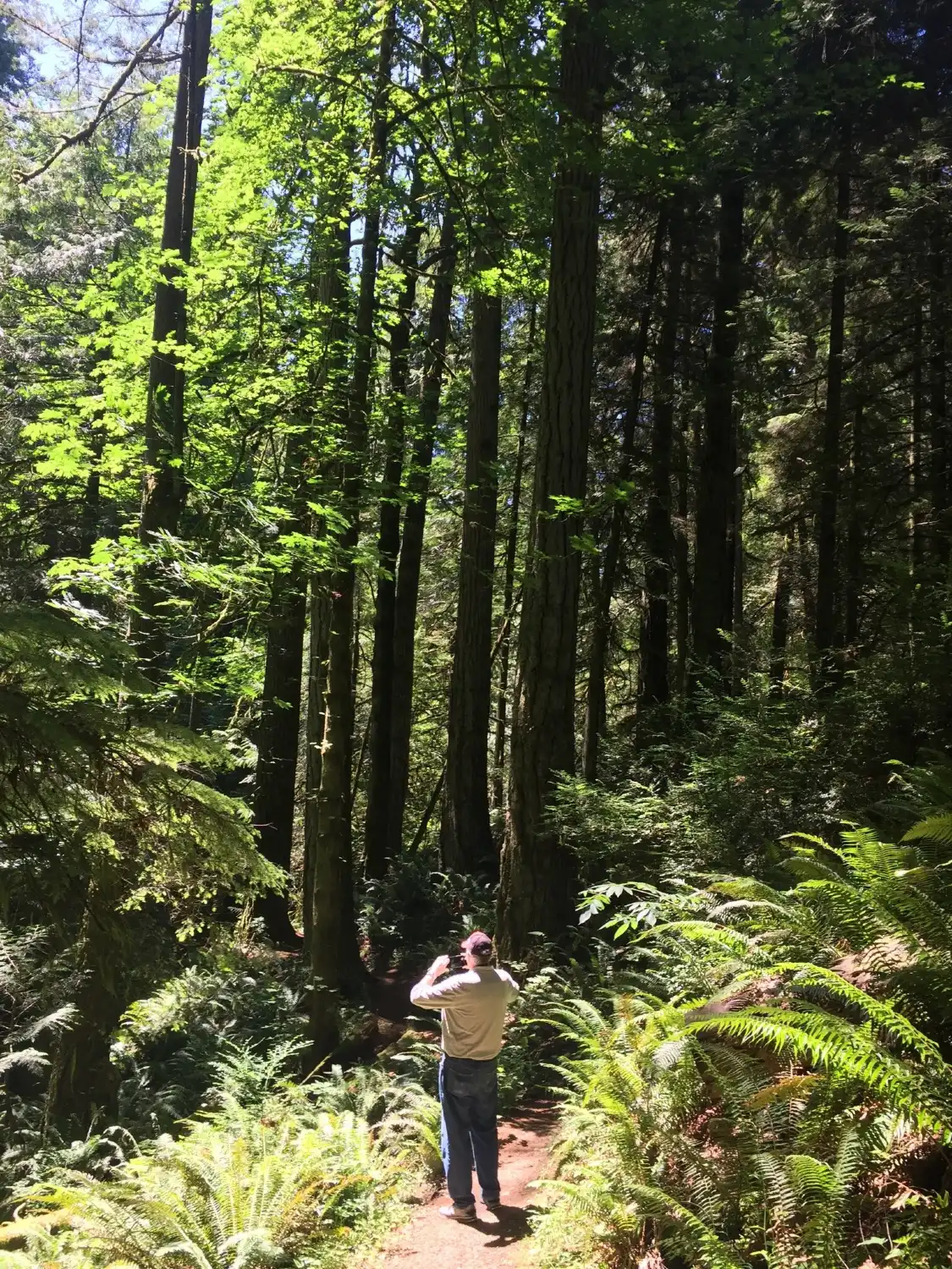 Hotel in zona McCormick Forest