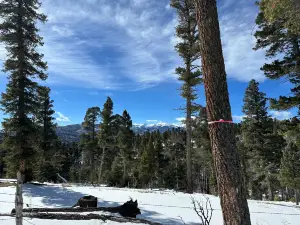 Enchanted Forest Cross Country Ski Area