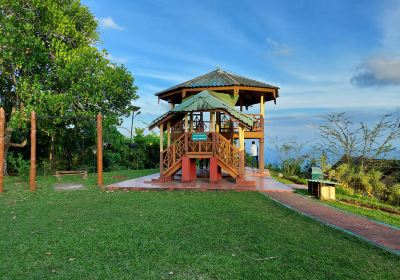 Mount Manipur National Park