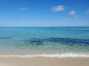 Plage de Bodri