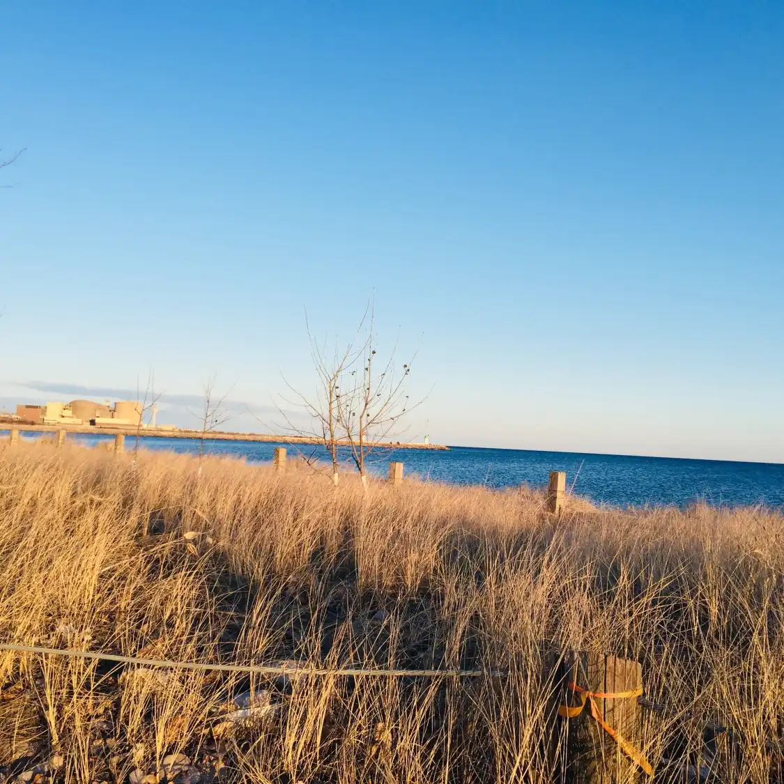 Hotels near Frenchman's Bay Marina