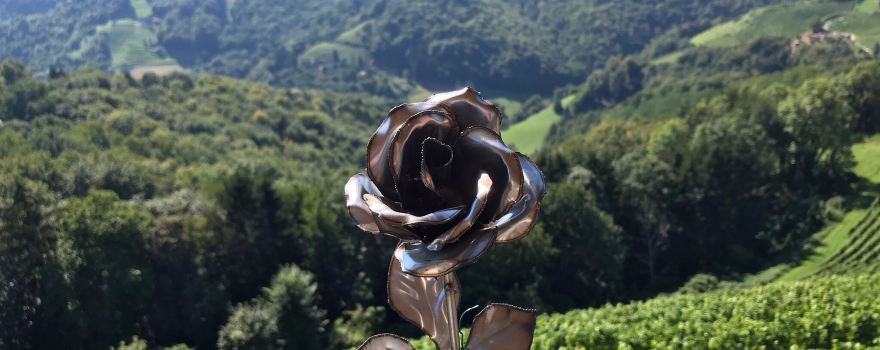 Steirisches Weinmuseum