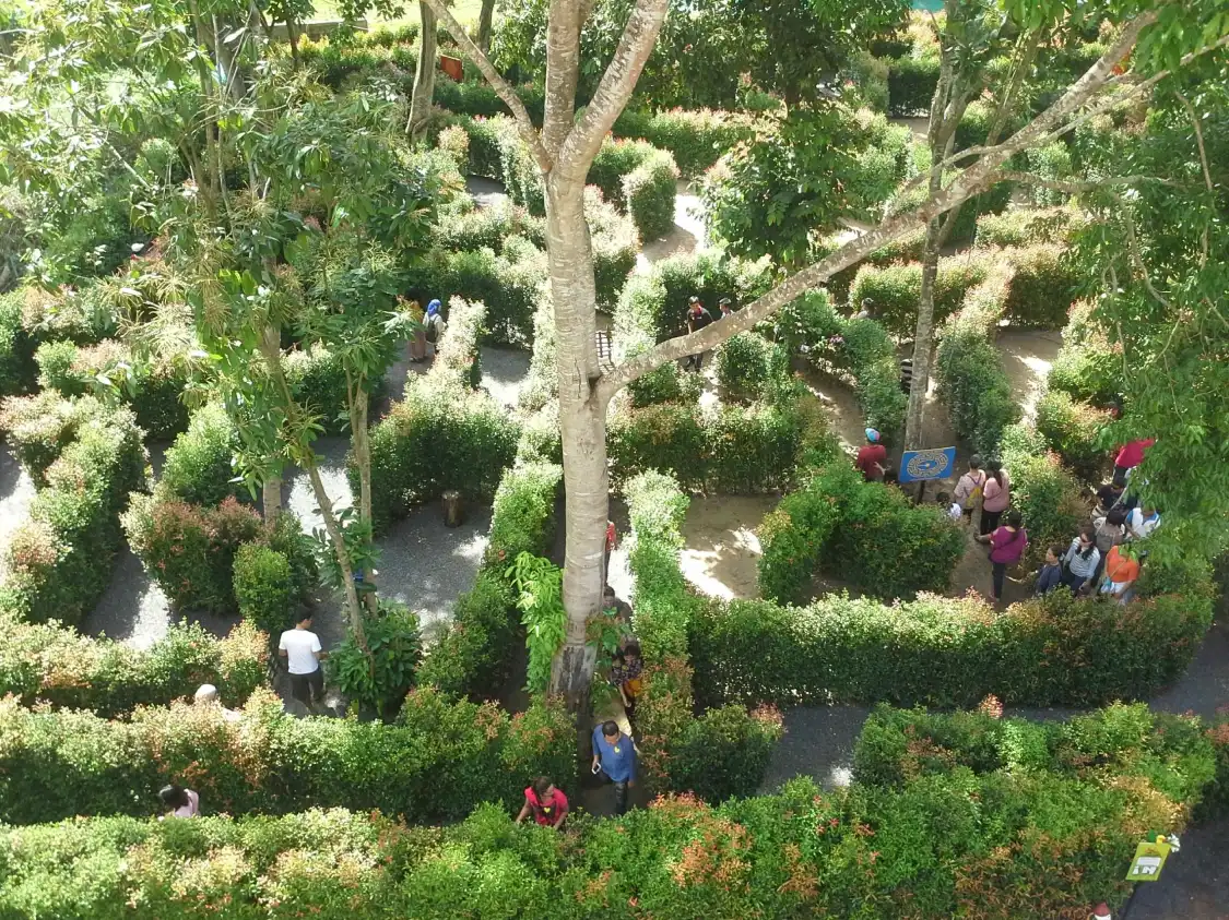 The Garden Maze Phuket 주변 호텔