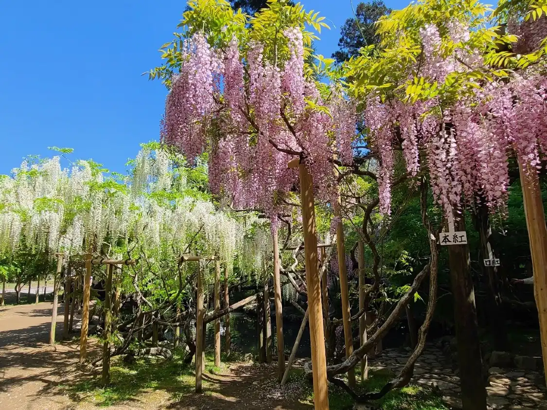 Hotel in zona Manyo Botanical Garden