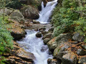 Skinny Dip Falls Trailhead