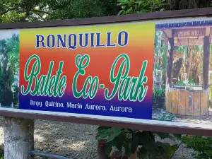 Balete Tree (Millenium Tree)