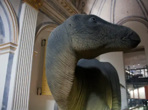 Tiempo de dinosaurios