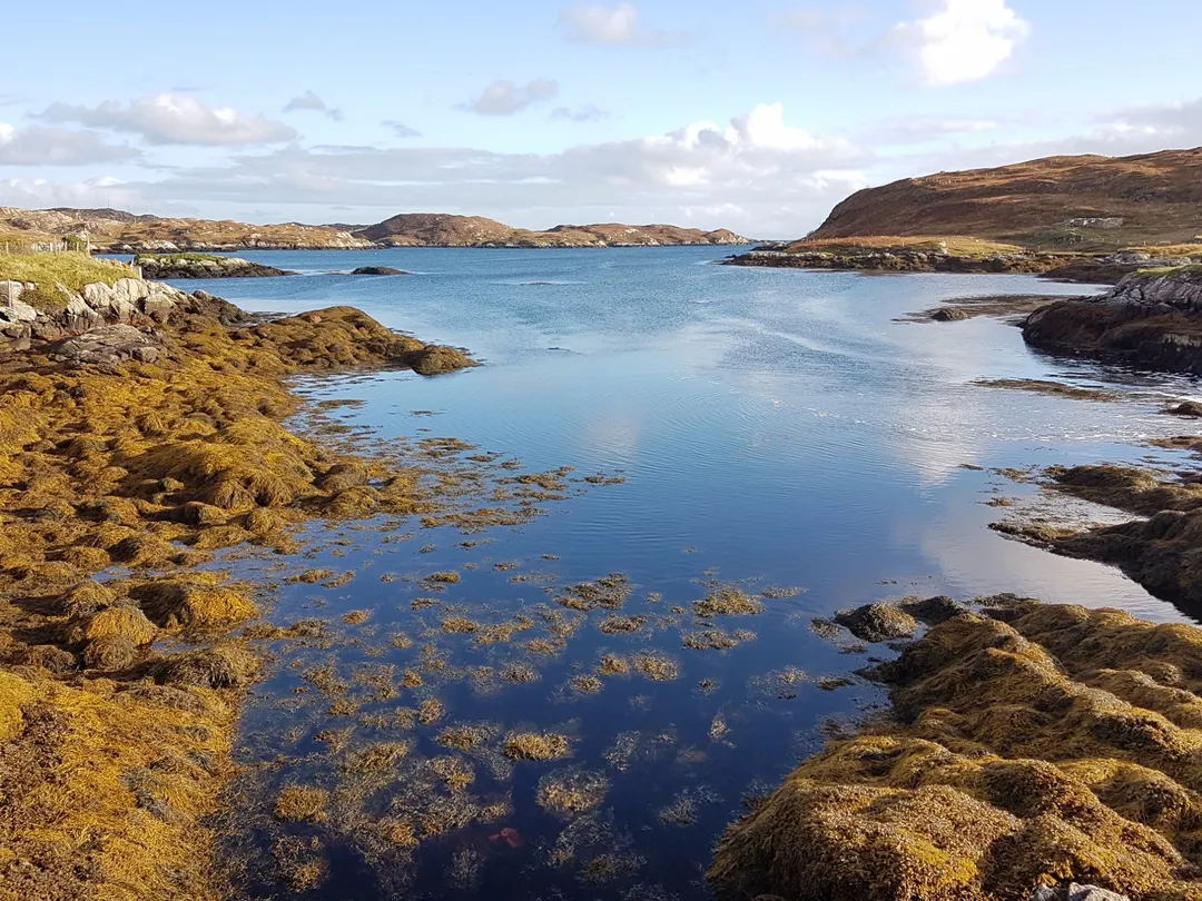 1_Mckenzie Mountaineering - Guided Walking Adventures