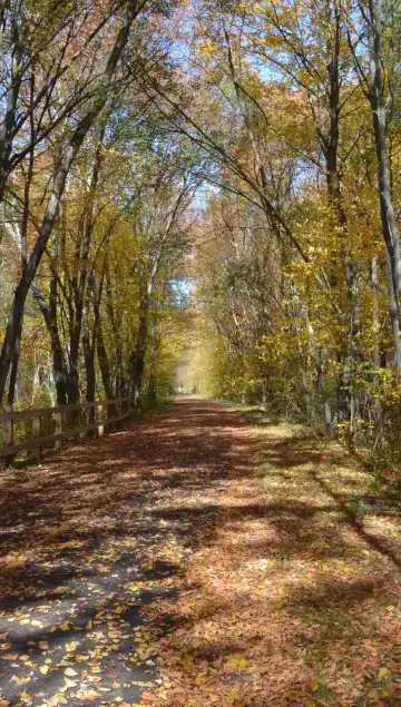 Hotels near Milford Quarries