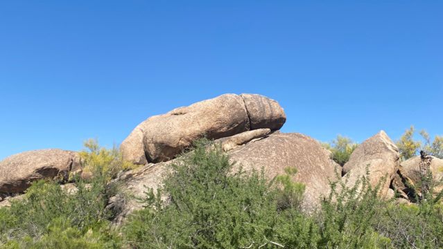 Phallic Rock