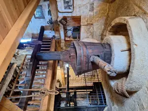 Olive oil museum