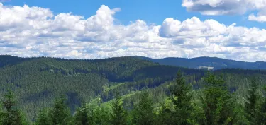 Vsetin District
