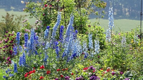 Botanical Garden of the University of Ulm