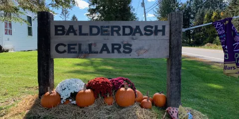 Balderdash Cellars
