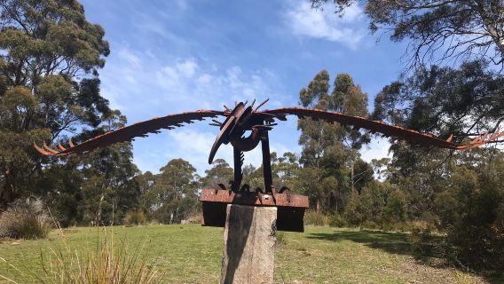 Art Farm Birchs Bay