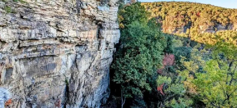 ハミルトンのホテル