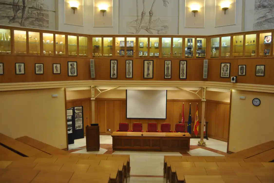 Hotels near Museo Anatomico
