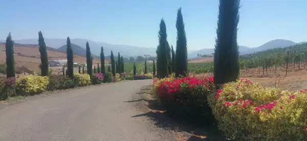 Hotels in Jamul
