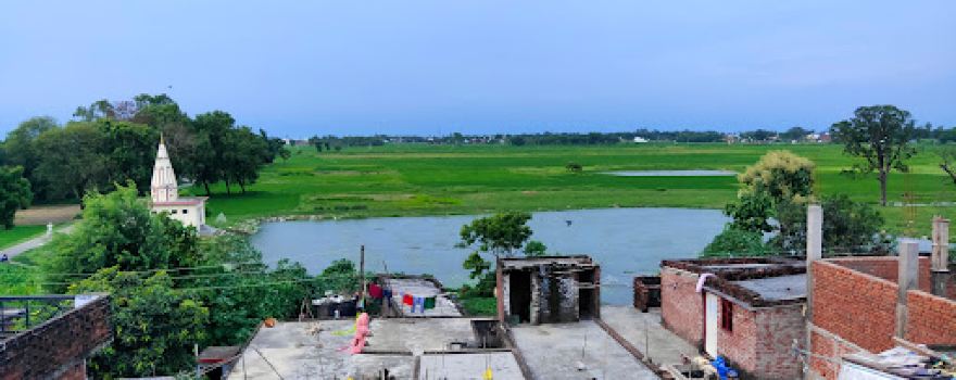 SHIV MANDIR गौरैया संरक्षक sparrow man