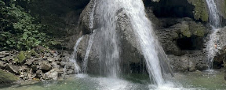 Matorobibit Dragon Scales WaterFall