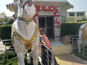 Bhakti-Dham Poharadevi