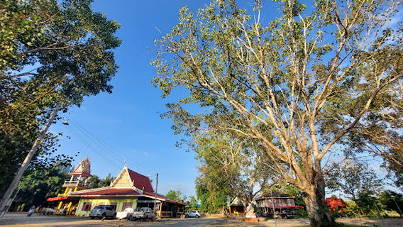 Soi Dao