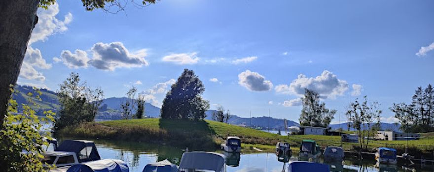 Grüene Aff