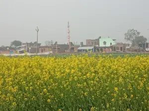 Prachin Temple Bhole Baba