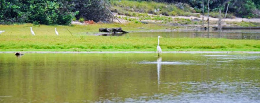 danau ulak libok