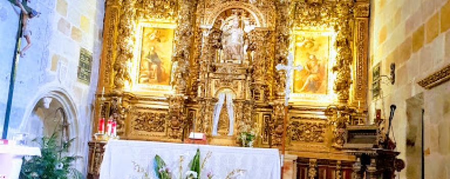 Museo del Árbol Fósil