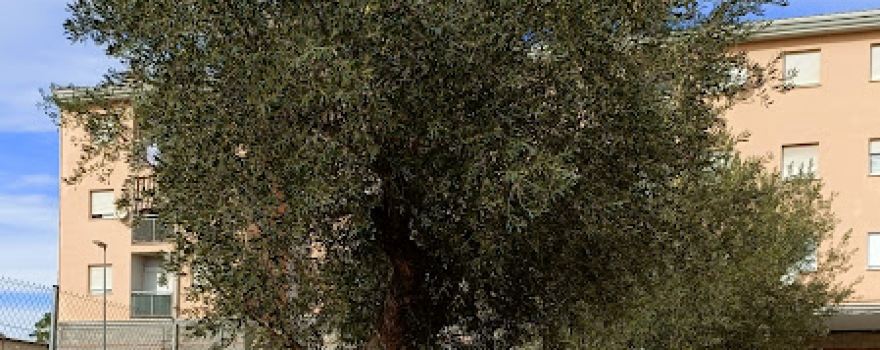 Parc per a gossos