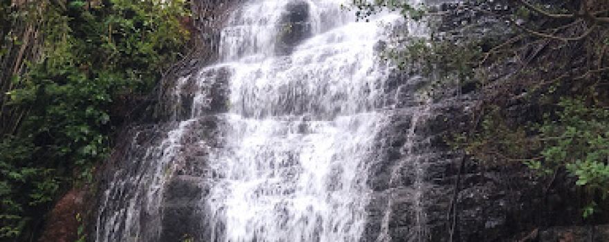 Deujhad
