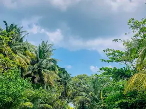 Manadhoo