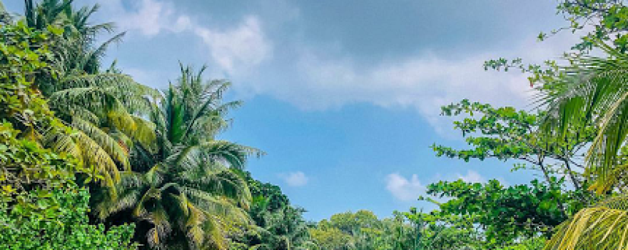 Manadhoo
