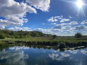 Bezodnya