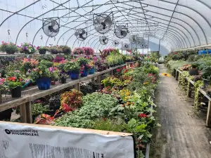 The Watering Can Garden Shop