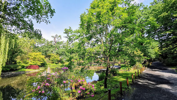 Вроцлавский фонтан