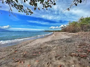 Pantai Patra Jasa Napungbiri