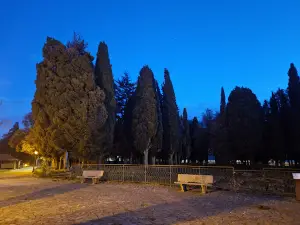 the Memorial Park