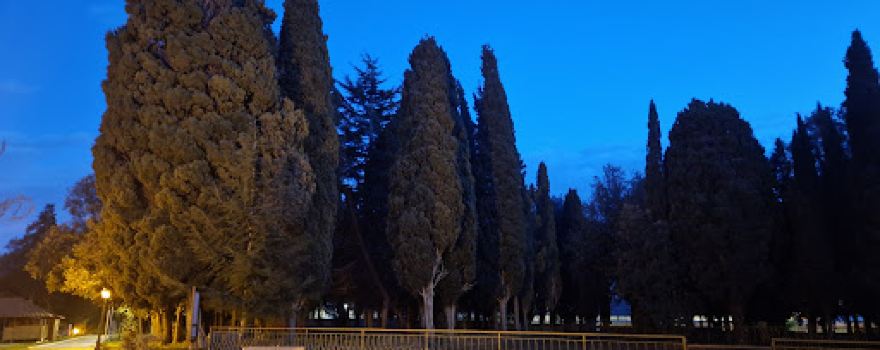 the Memorial Park