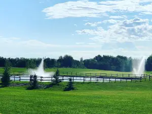 Fawn Meadows Lodge, Cabins & Year Round RV Park