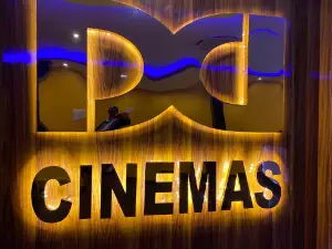 Kapoor dd plex