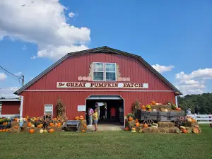 The Great Pumpkin Patch