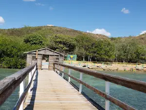 La Playita Rosada